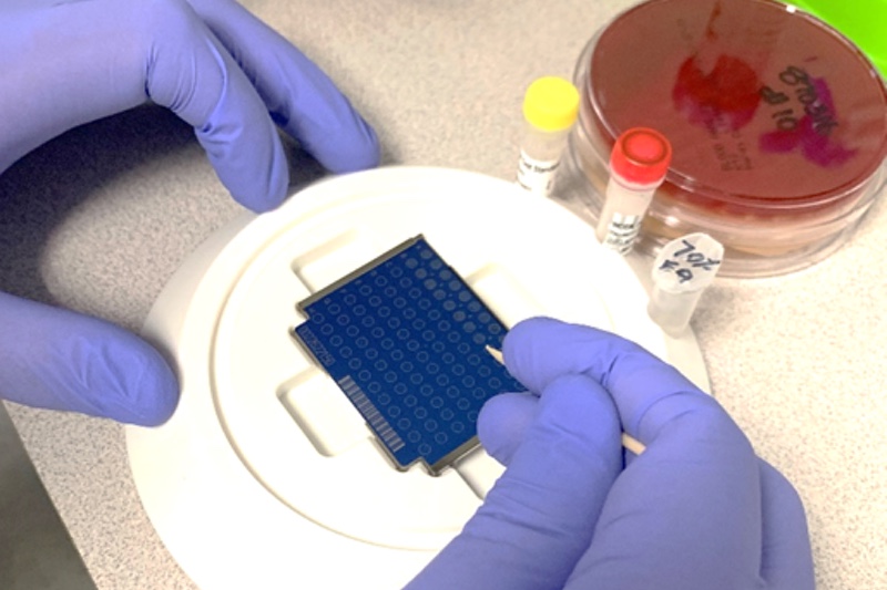 USP < 797 > Viable Air and Surface Sample Reports: 3 common errors