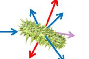 Validair improves microbiological detection algorithm