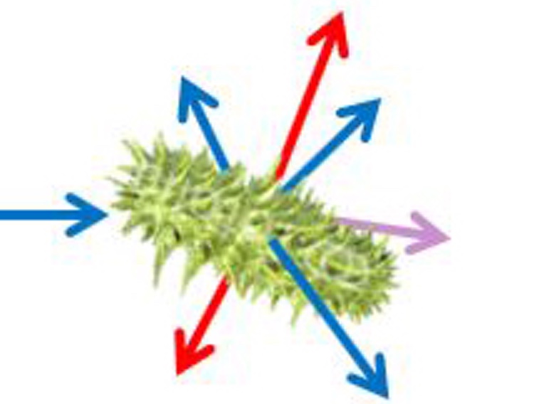 Validair improves microbiological detection algorithm