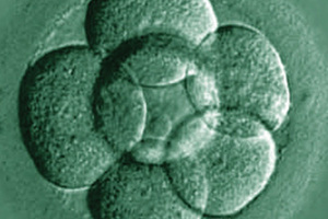 Validated monitoring system for new IVF facility