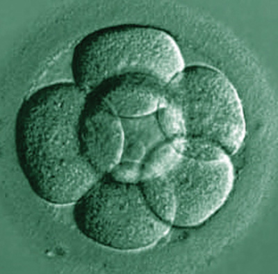 Validated monitoring system for new IVF facility
