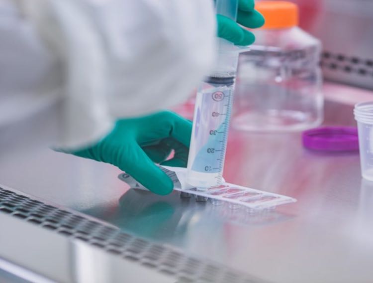 VetStem Biopharma launches performance cell manufacturing division