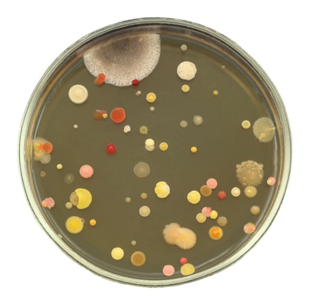 Visual triggers increase hand hygiene compliance, researchers find