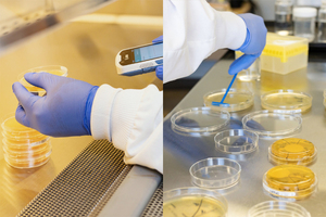 What is environmental monitoring and why is it important?