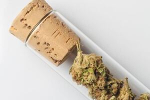 WHP completes new medical cannabis cleanroom and production facilities 