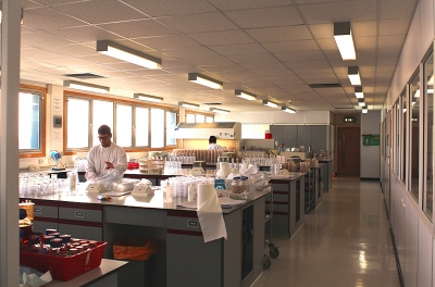 Wickham Laboratories to complete move to Hoeford Point by June
