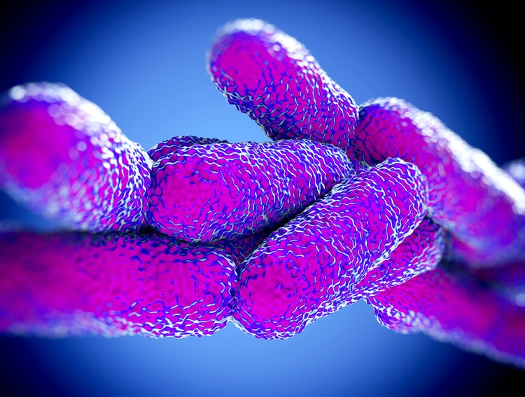 WLN compares the IDEXX Legiolert test in detection of Legionella