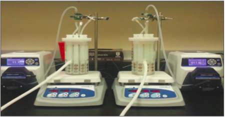 Worst-case biofilm conditions for cleaning evaluations 