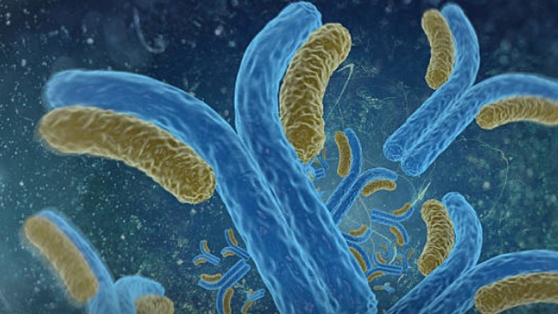 WuXi Biologics initiate construction of integrated ADC solution center